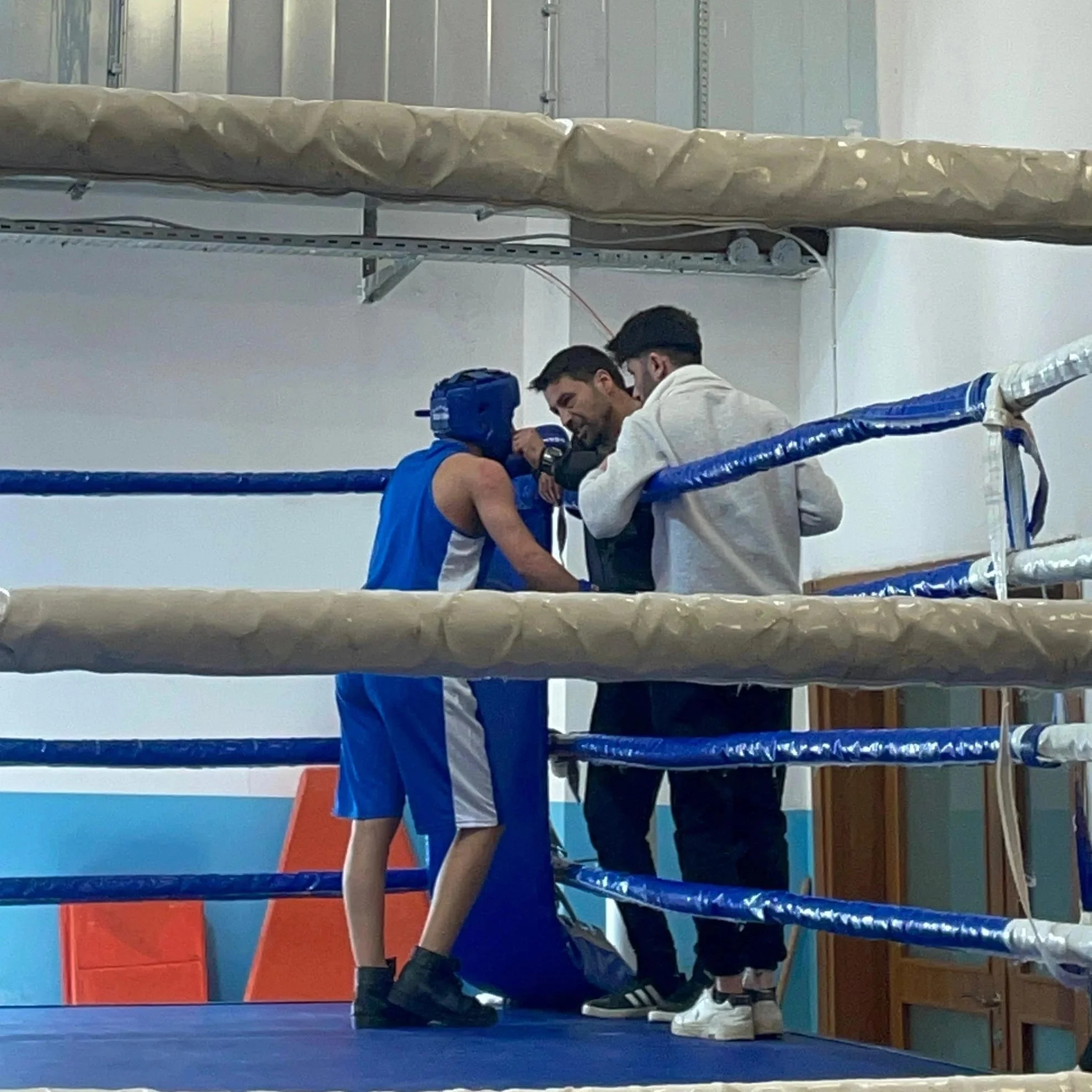 Proboxing boks ve fitness görseli